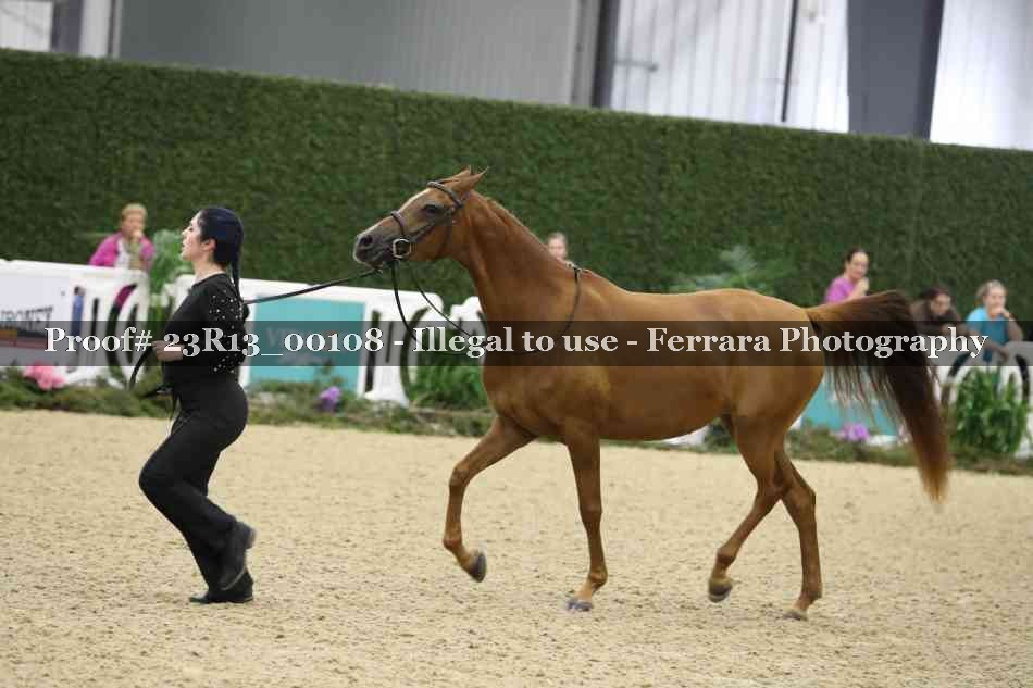 Proof 23R13_00108