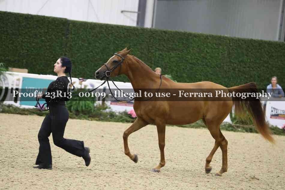 Proof 23R13_00109