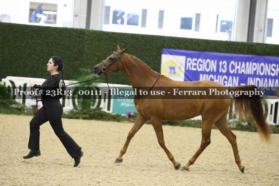 Proof 23R13_00111
