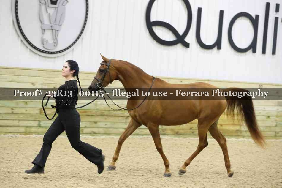 Proof 23R13_00115