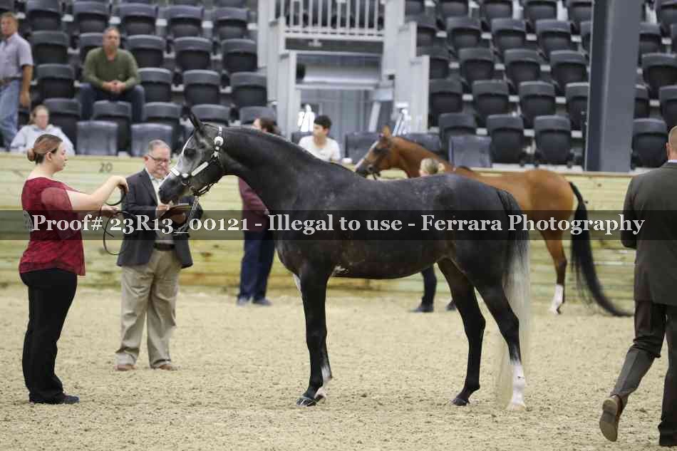 Proof 23R13_00121