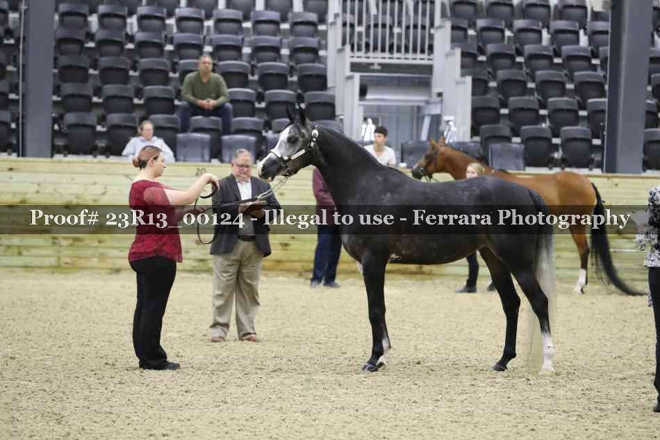Proof 23R13_00124