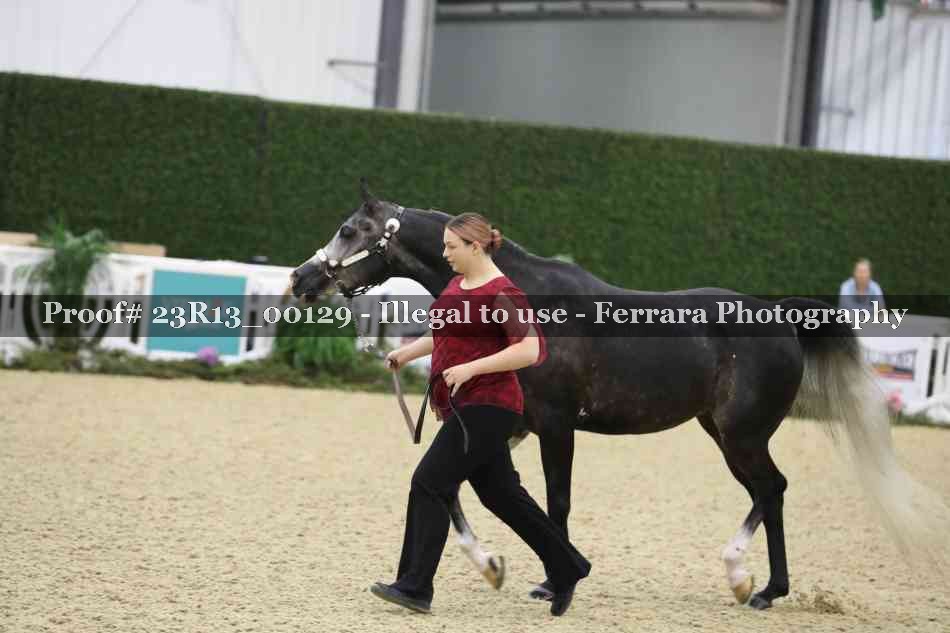 Proof 23R13_00129