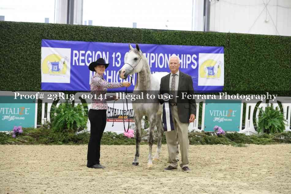 Proof 23R13_00141