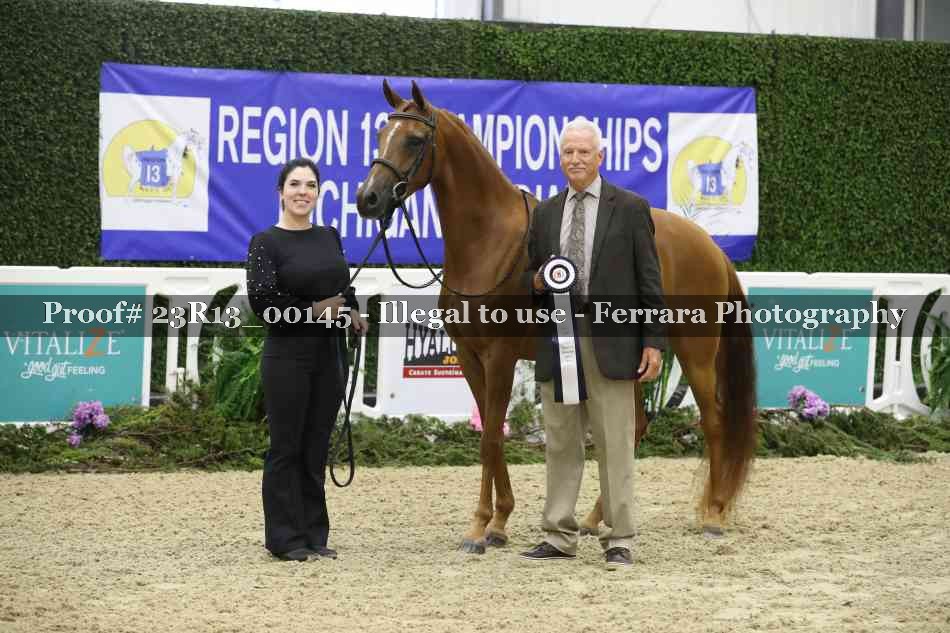 Proof 23R13_00145