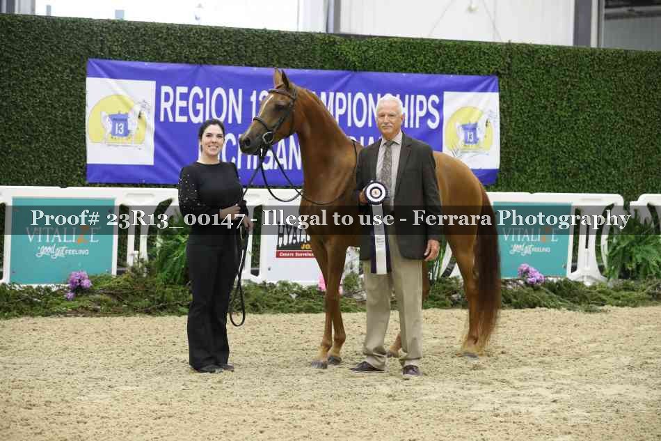 Proof 23R13_00147