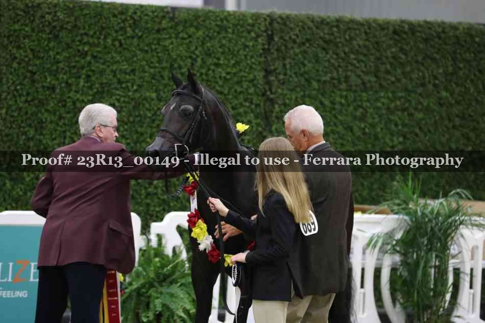 Proof 23R13_00149