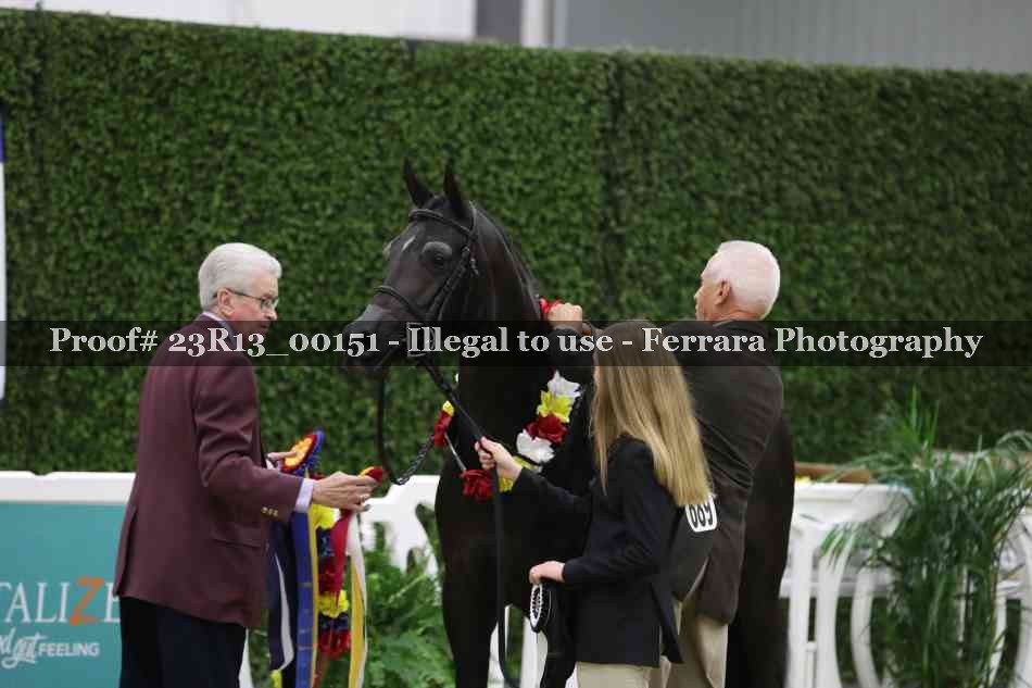Proof 23R13_00151