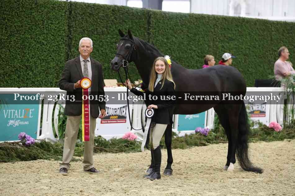 Proof 23R13_00153
