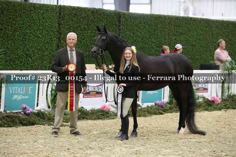 Proof 23R13_00154