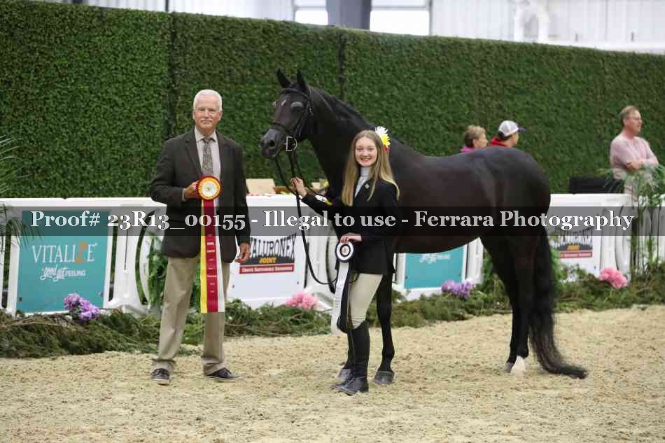 Proof 23R13_00155