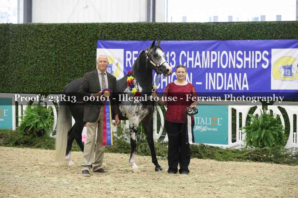 Proof 23R13_00161