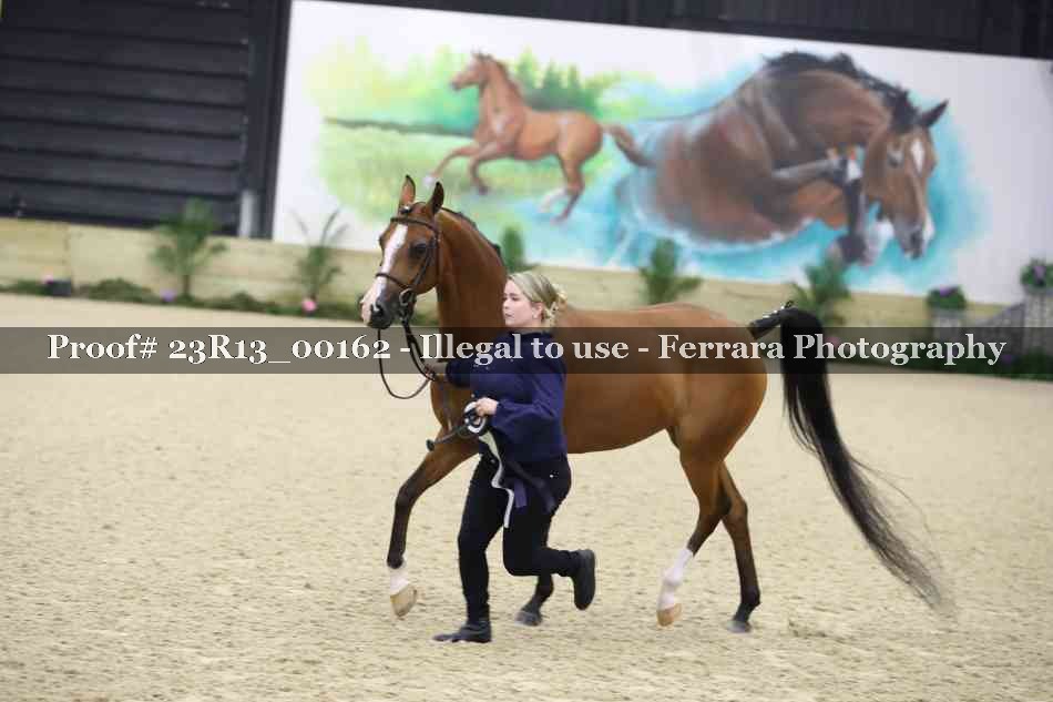 Proof 23R13_00162