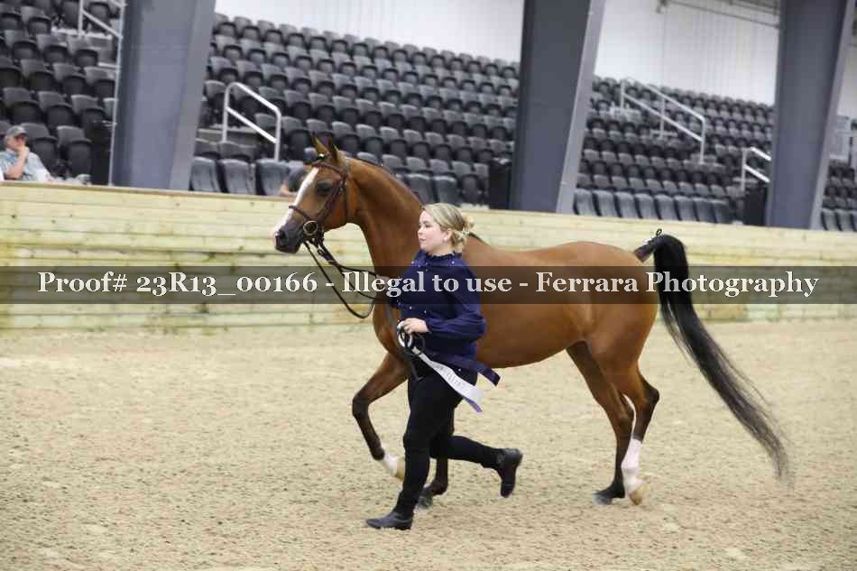 Proof 23R13_00166