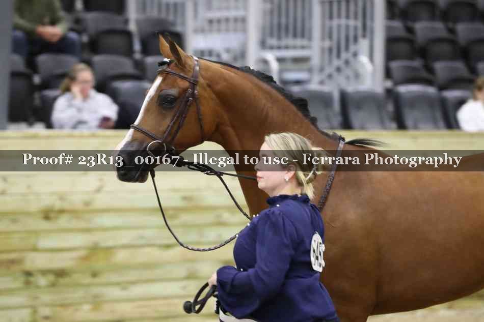 Proof 23R13_00167