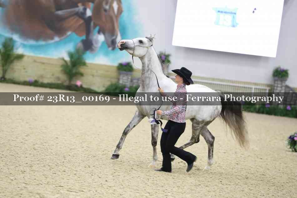 Proof 23R13_00169