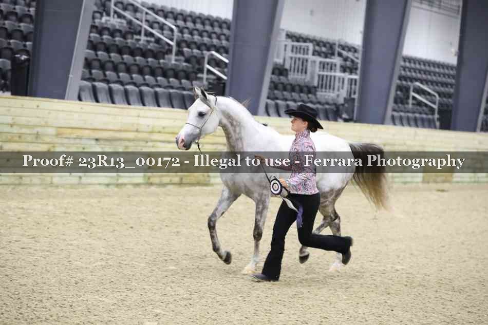 Proof 23R13_00172