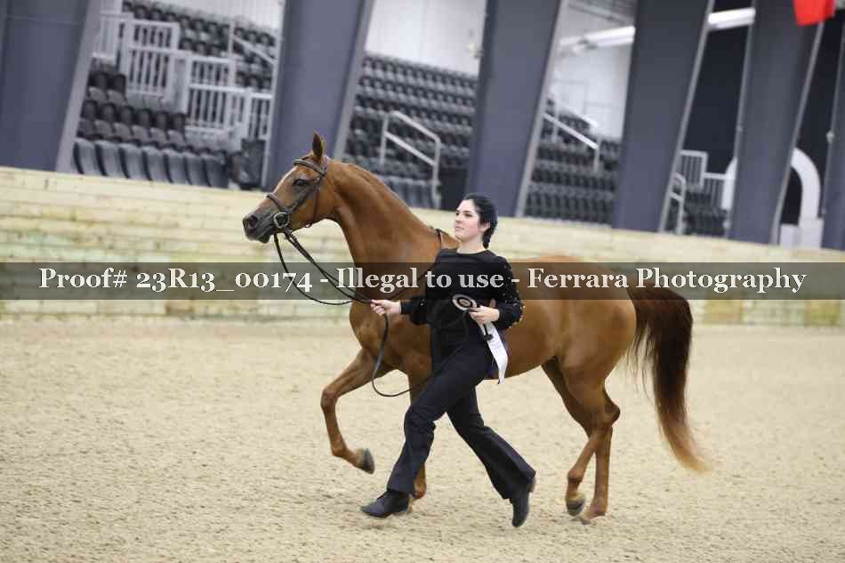 Proof 23R13_00174