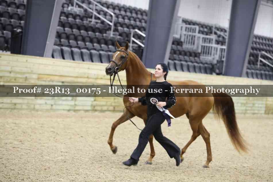 Proof 23R13_00175