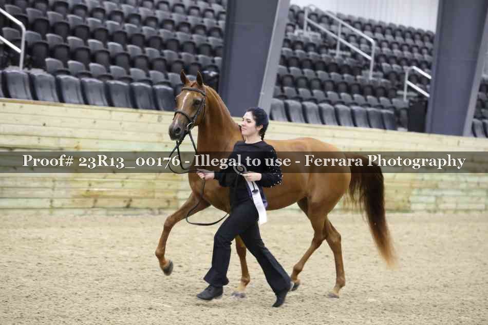 Proof 23R13_00176