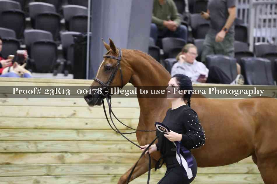 Proof 23R13_00178