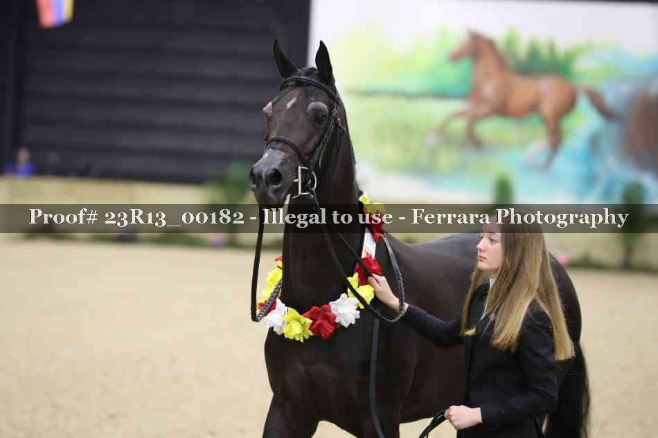Proof 23R13_00182
