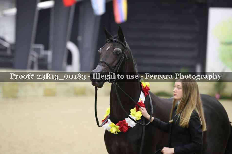 Proof 23R13_00183