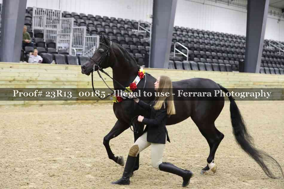 Proof 23R13_00185