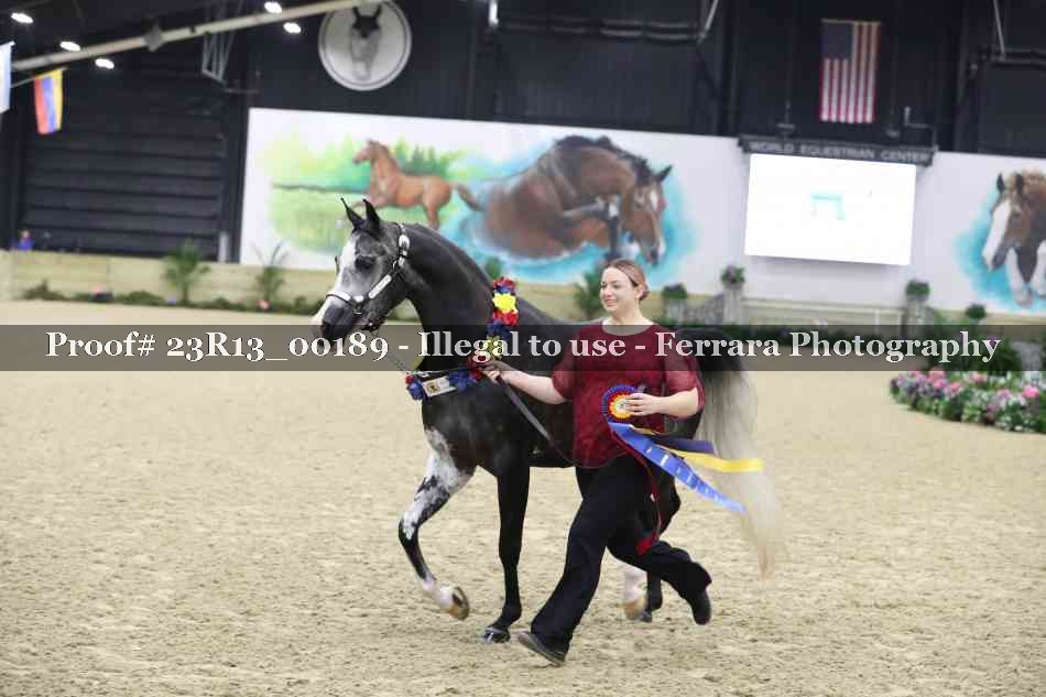 Proof 23R13_00189