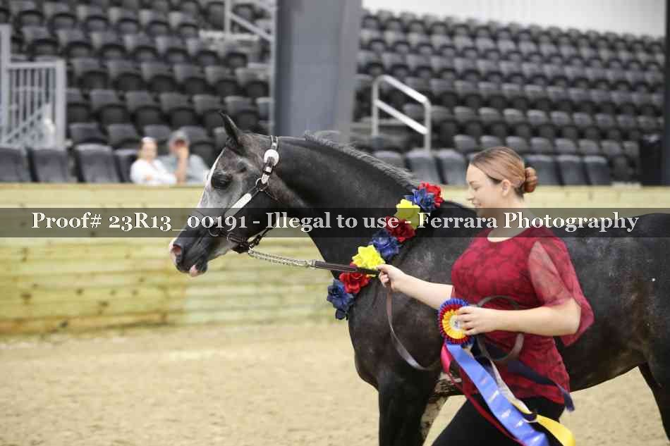 Proof 23R13_00191