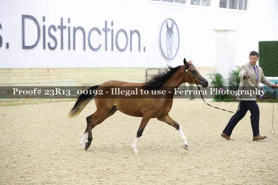 Proof 23R13_00192