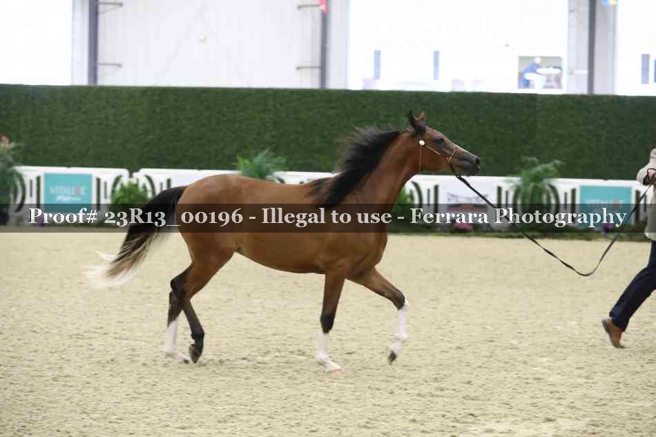 Proof 23R13_00196