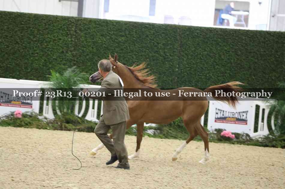 Proof 23R13_00201