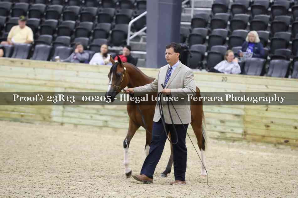 Proof 23R13_00205