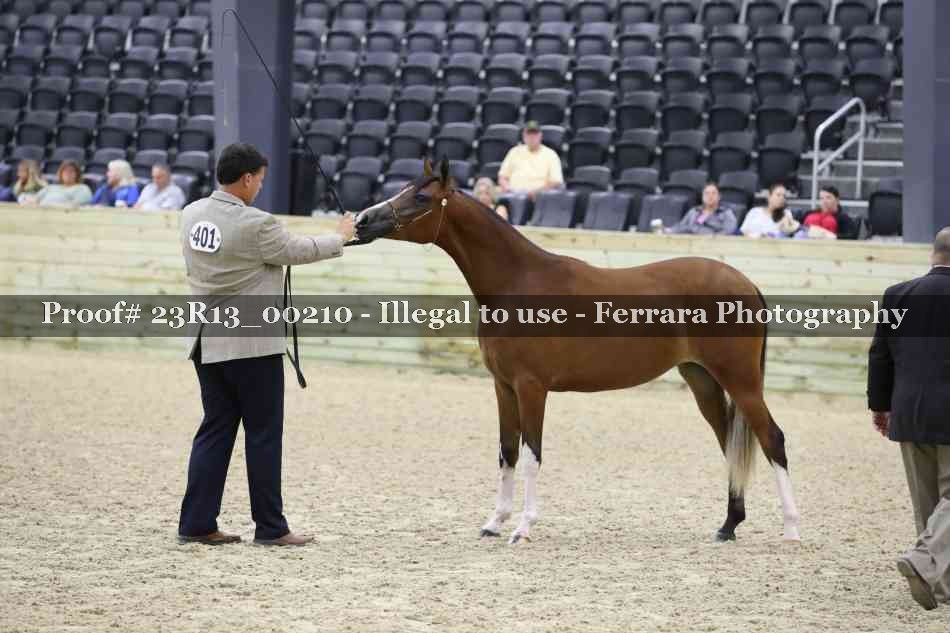 Proof 23R13_00210