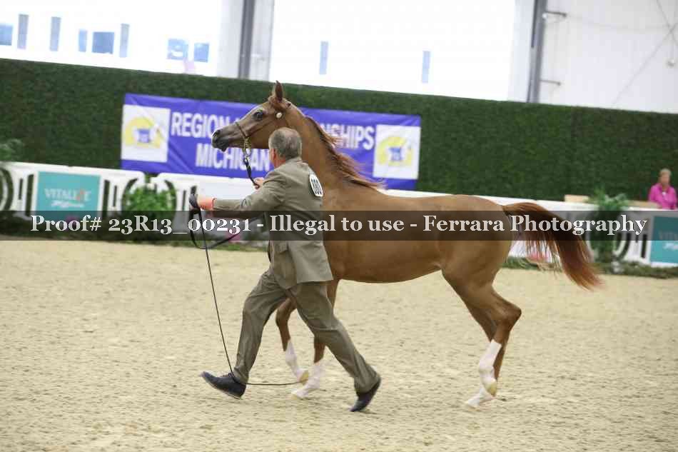 Proof 23R13_00231