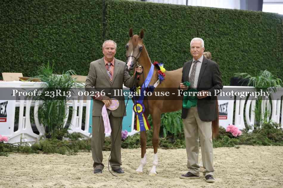 Proof 23R13_00236