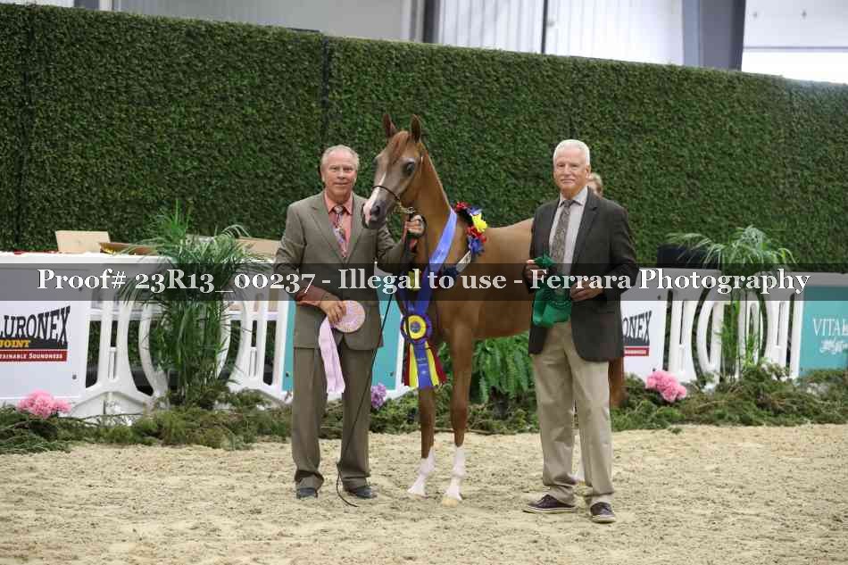 Proof 23R13_00237