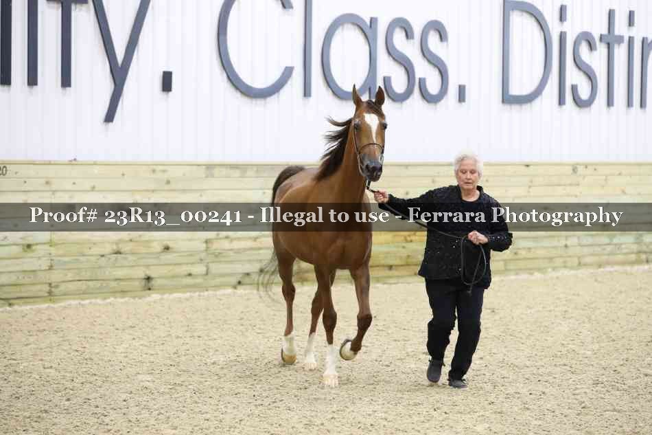Proof 23R13_00241