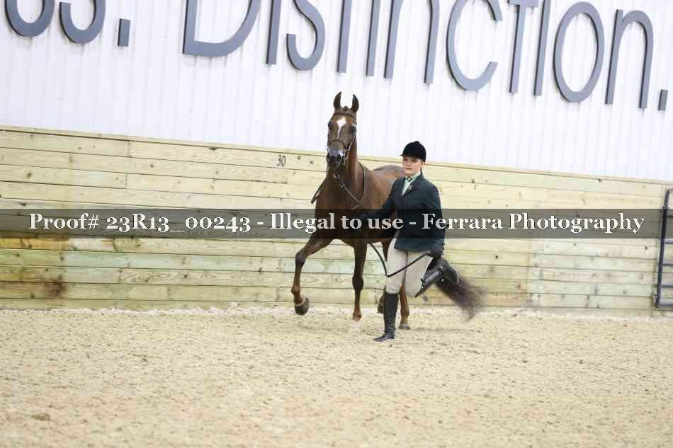 Proof 23R13_00243