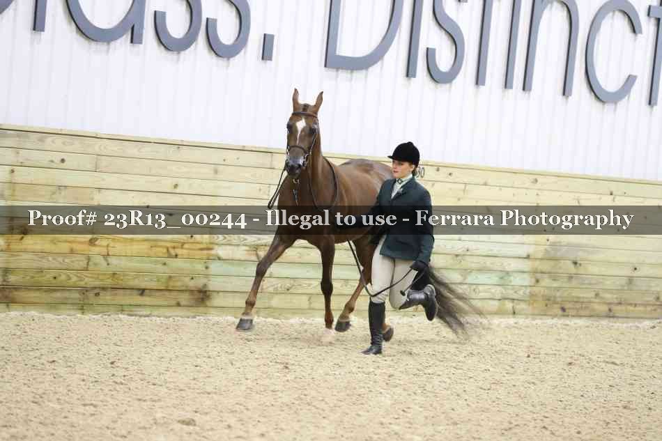 Proof 23R13_00244