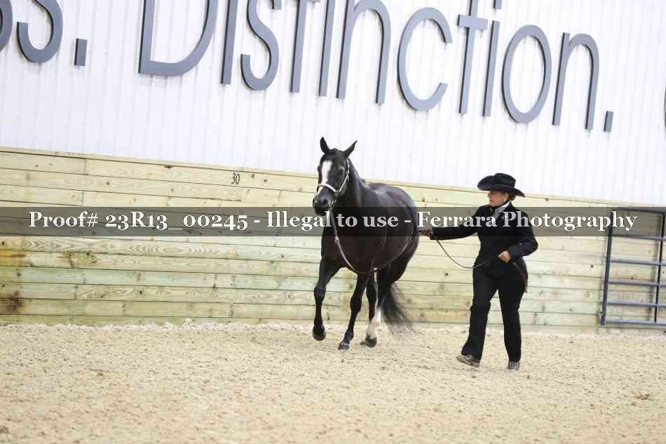 Proof 23R13_00245