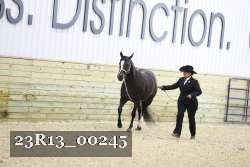 23R13_00245 proof