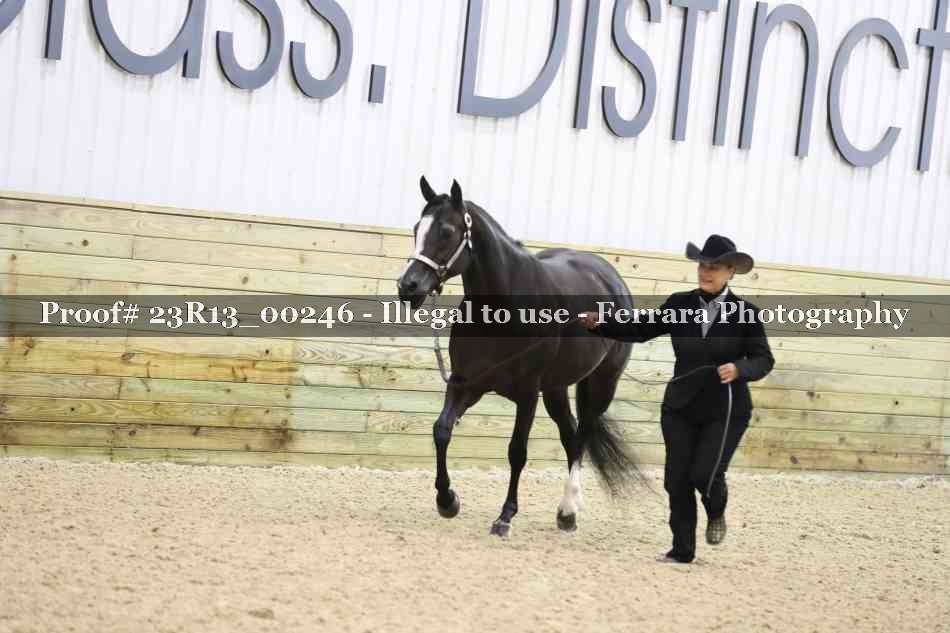 Proof 23R13_00246