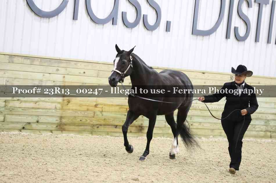 Proof 23R13_00247