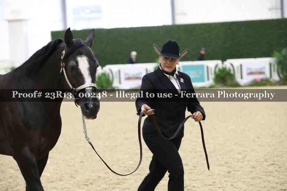 Proof 23R13_00248