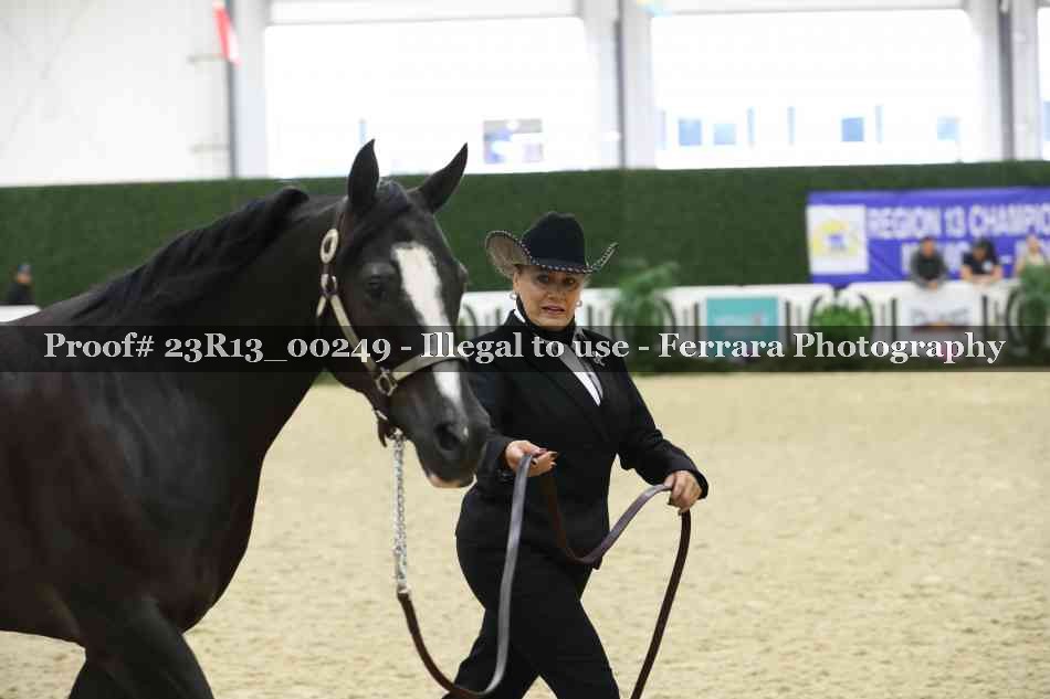 Proof 23R13_00249