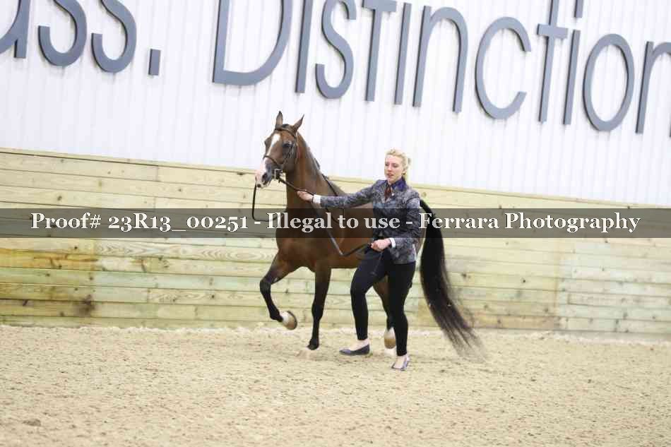 Proof 23R13_00251