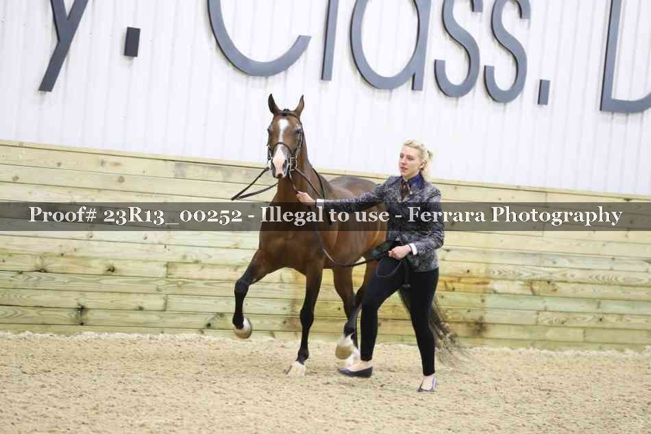 Proof 23R13_00252