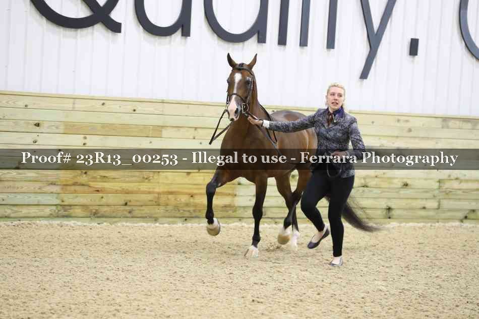 Proof 23R13_00253